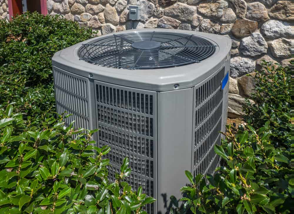 overgrown air conditioner Fort Mill